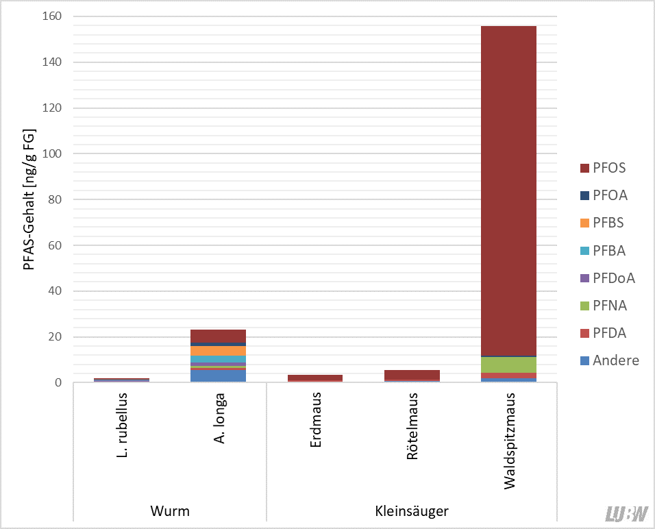 Balkendiagramm der PFAS-Gehalte in verschiedenen Regenwurm- und Kleinsäugerarten am Waldstandorte Kirchheim unter Teck. Die Regenwurmart Aporrectodea longa reichert mit 23 ng/g etwa 12-mal mehr PFAS an als die Regenwurmart Lumbricus rubellus. Die herbivore Erdmaus reichert 3 ng/g PFAS an, die überwiegend herbivore Rötelmaus 6 ng/g und die carnivore Waldspitzmaus 156 ng/g. Den größten Anteil macht dabei durchgehend die Perfluroctansulfonsäure aus. Balkendiagramm der PFAS-Gehalte in verschiedenen Regenwurm- und Kleinsäugerarten am Waldstandorte Kirchheim unter Teck. Die Regenwurmart Aporrectodea longa reichert mit 23 ng/g etwa 12-mal mehr PFAS an als die Regenwurmart Lumbricus rubellus. Die herbivore Erdmaus reichert 3 ng/g PFAS an, die überwiegend herbivore Rötelmaus 6 ng/g und die carnivore Waldspitzmaus 156 ng/g. Den größten Anteil macht dabei durchgehend die Perfluroctansulfonsäure aus.