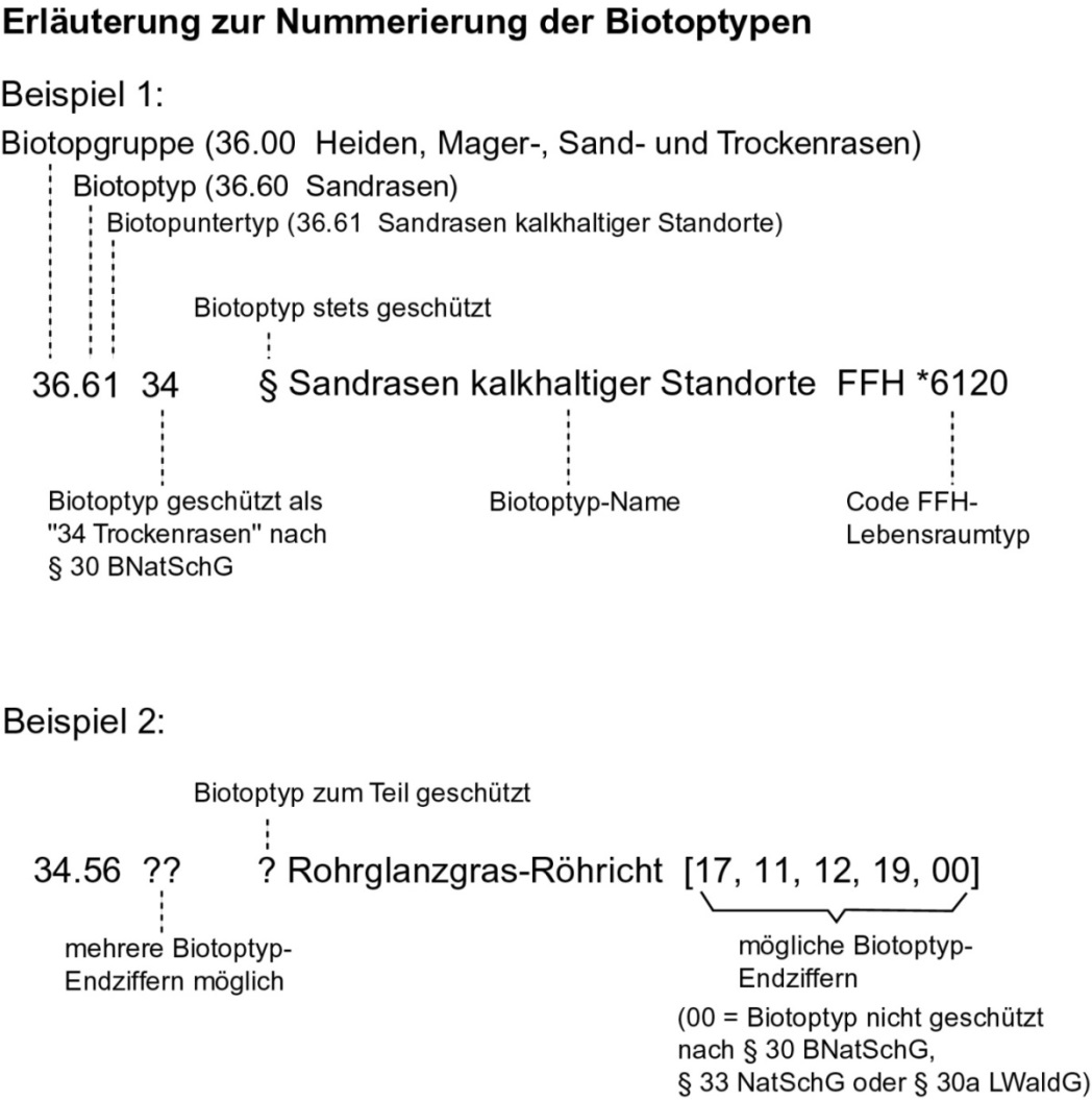 Abbildung zur Erläuterung der Nummerierung der Biotoptypen Abbildung zur Erläuterung der Nummerierung der Biotoptypen